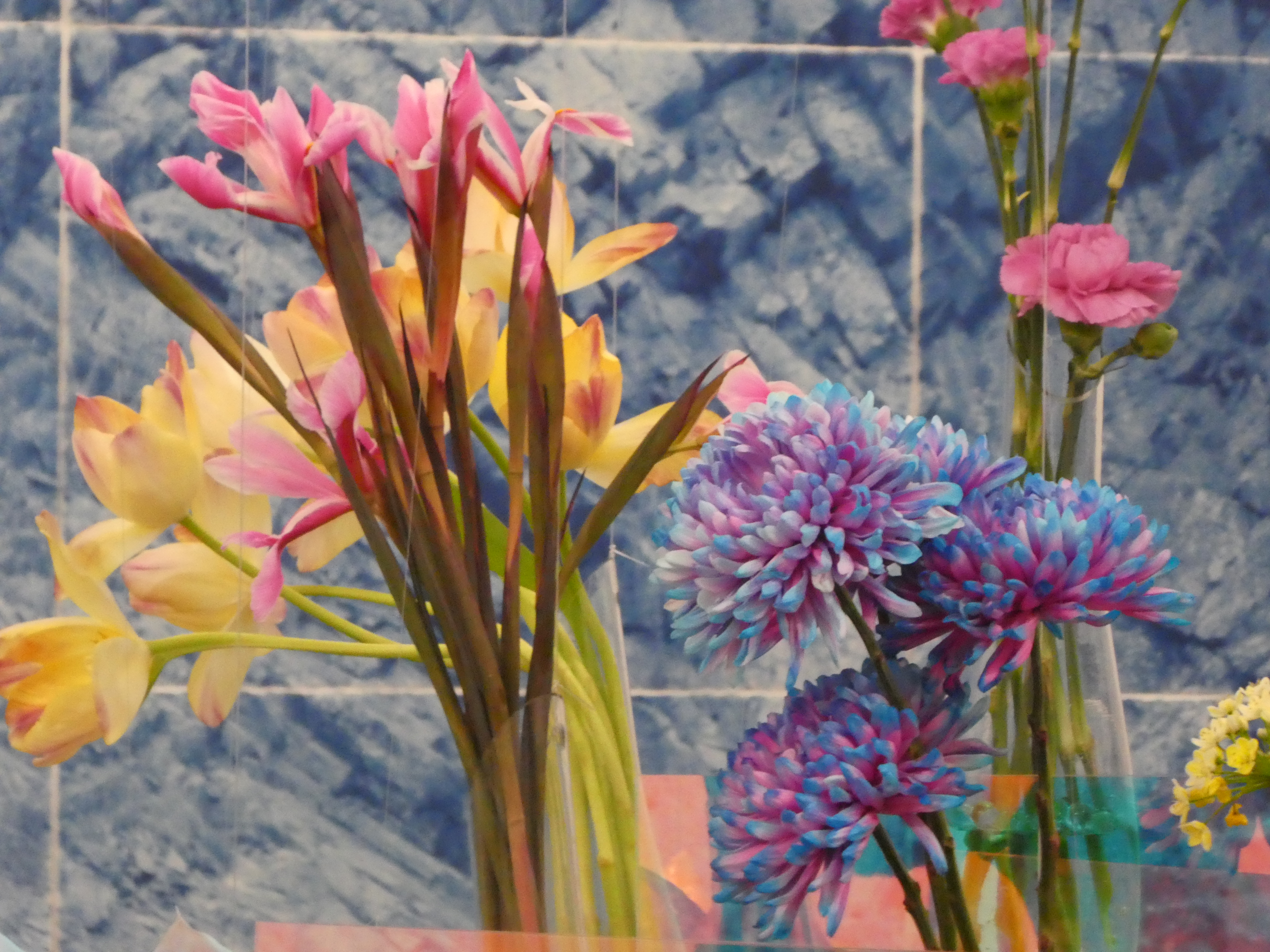 Bild Ärgere Dich Nicht