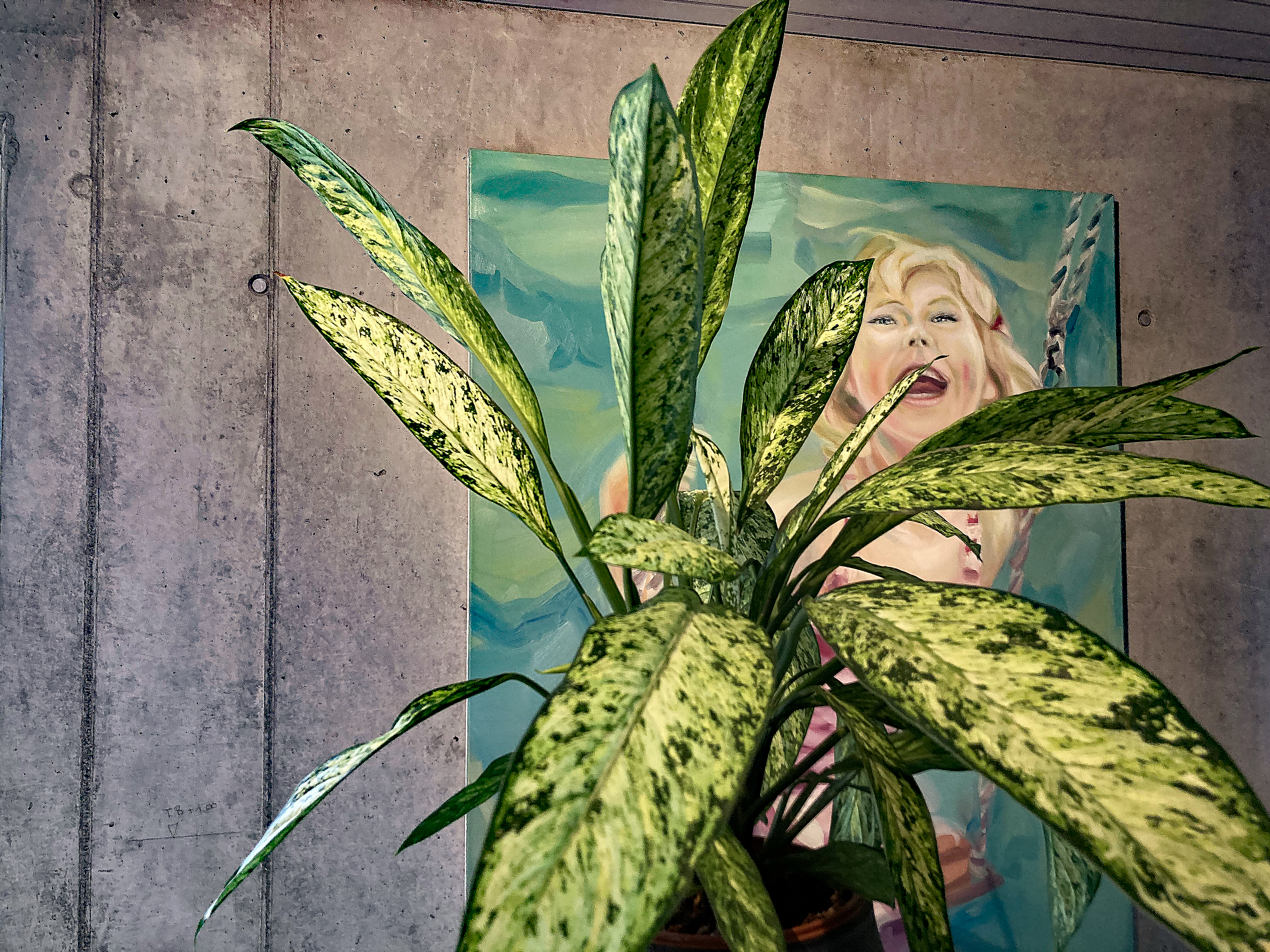 Rubrikenbild Kontakt