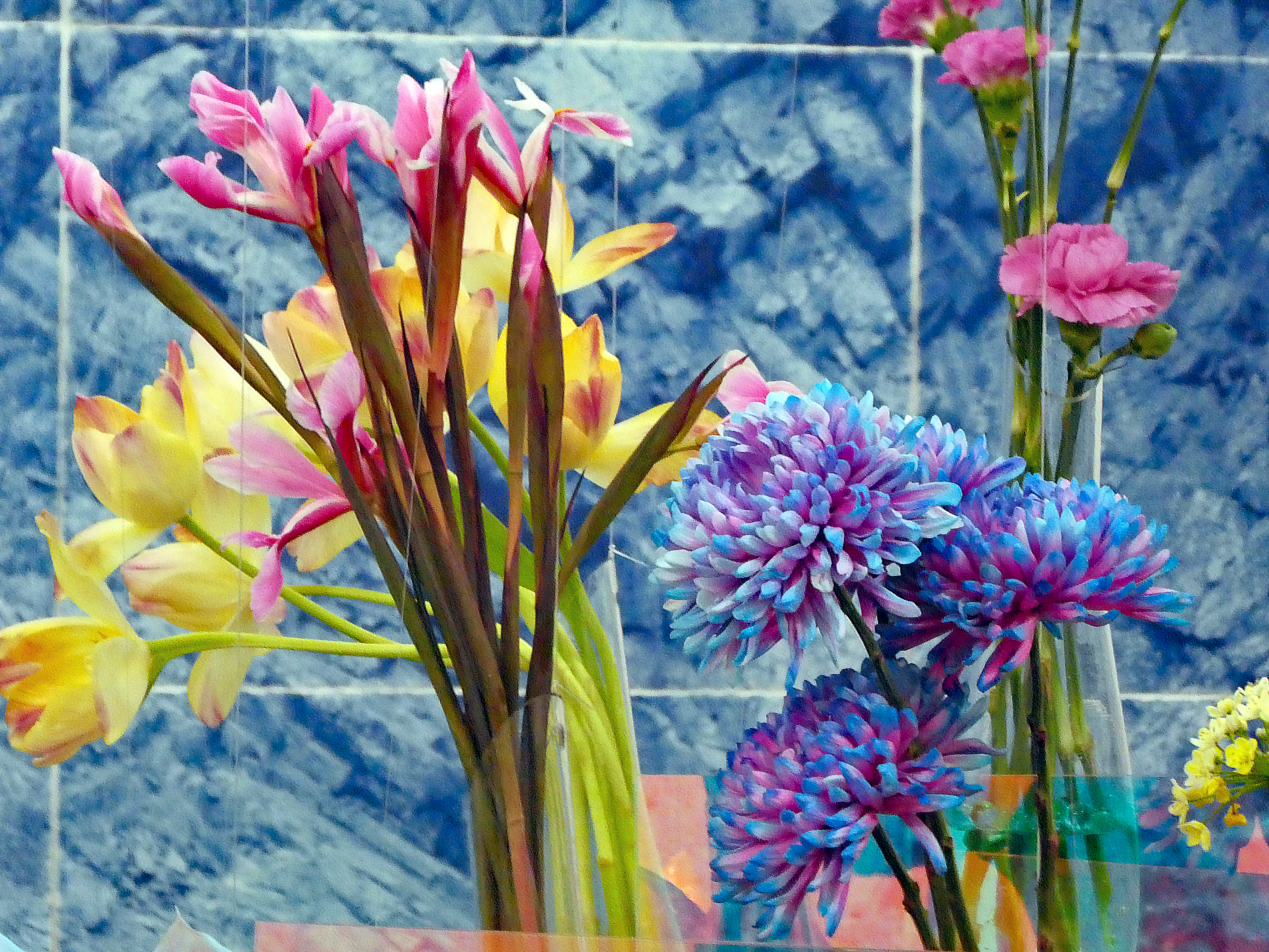 Bils Segnen Im Alltag