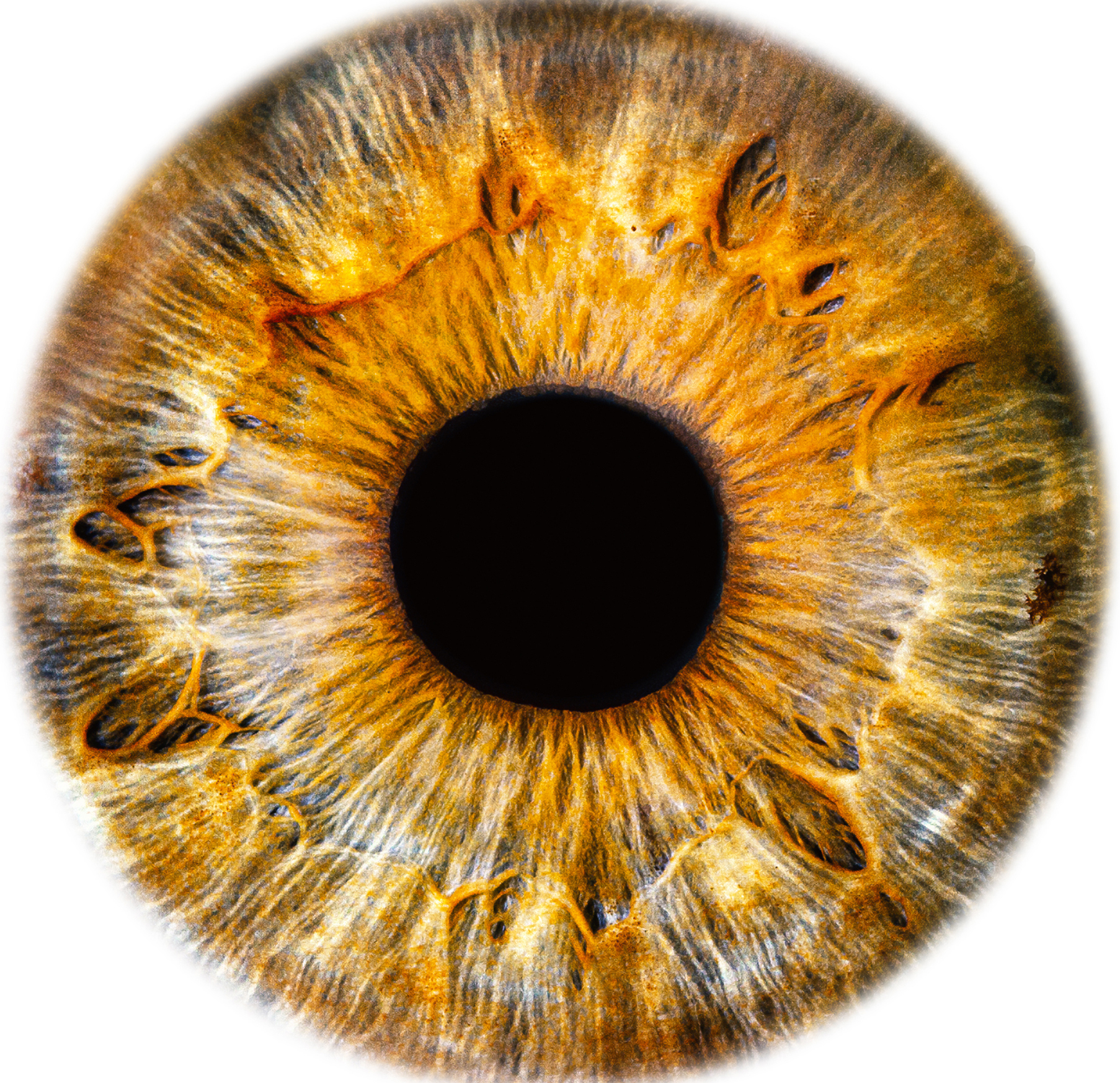 Bild Lebkü Training Web 2